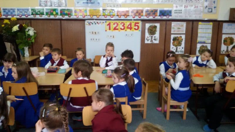 saptamana educatiei scoala 804
