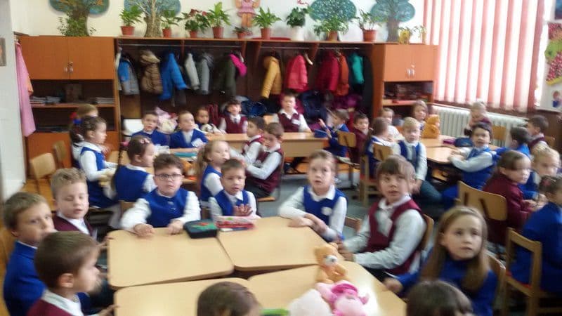 saptamana educatiei scoala 809