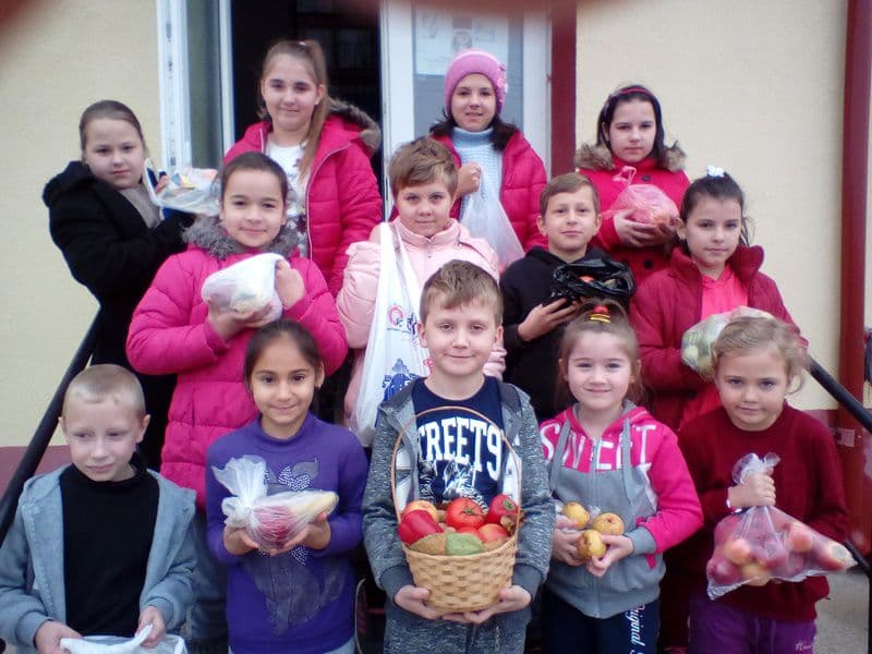 dimitrie romanescu 05