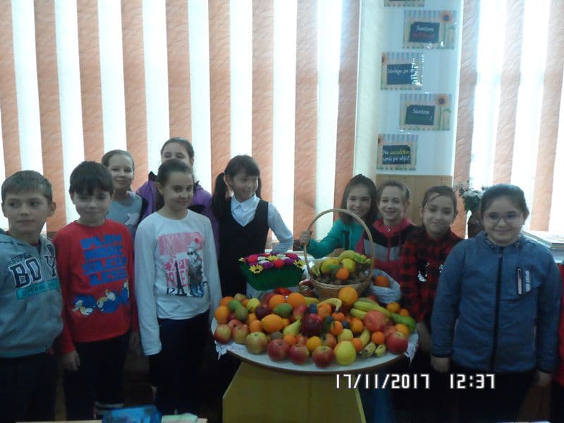 ai cuza dorohoi02