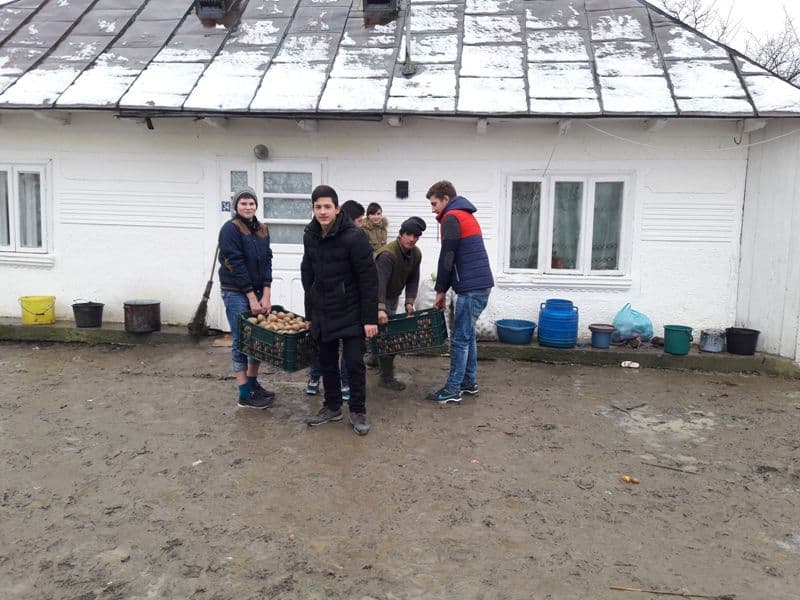 donatii (2)