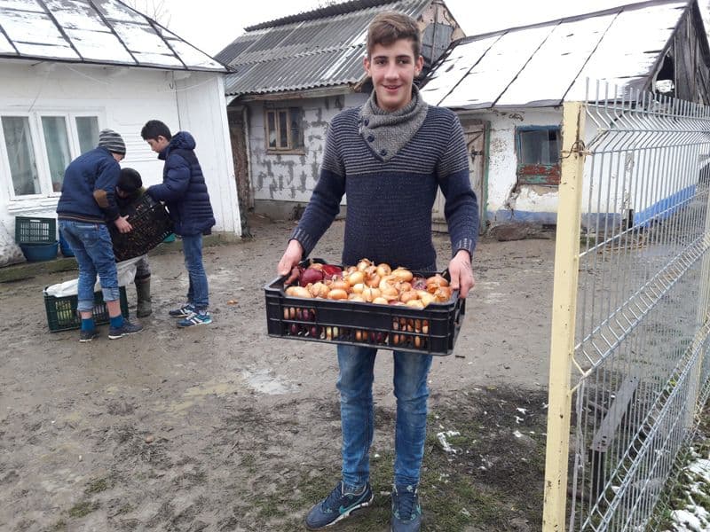donatii (3)
