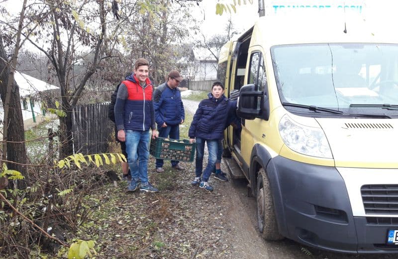 donatii (4)