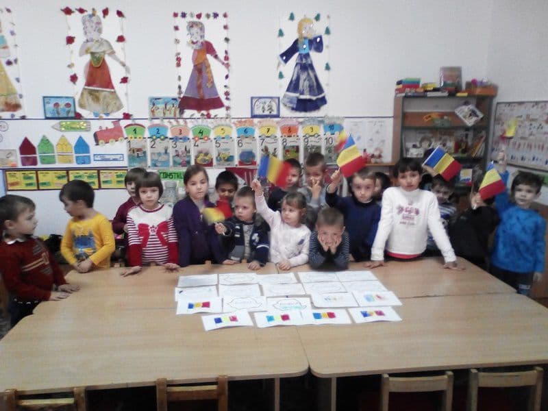 scoala dimitrie romanescu 12