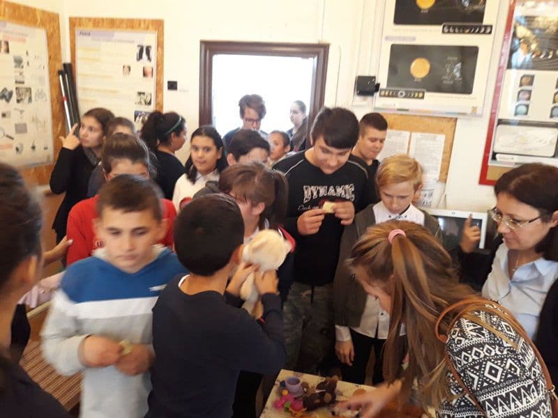 Voluntariat_09