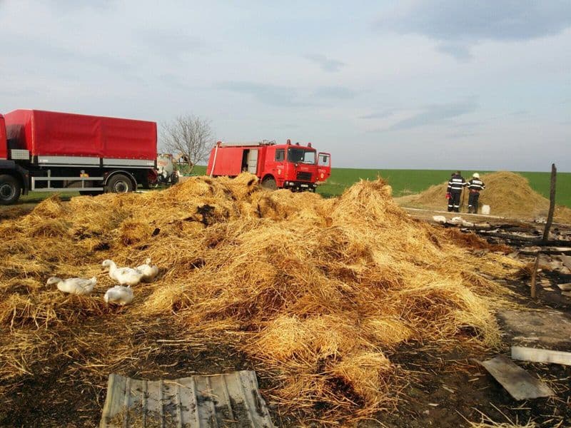 incendiu Dimacheni_02