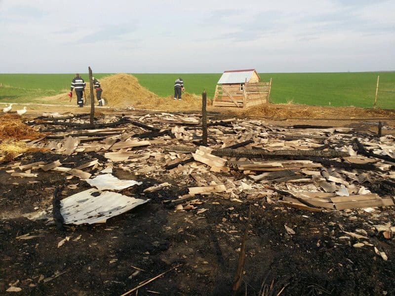 incendiu Dimacheni_03