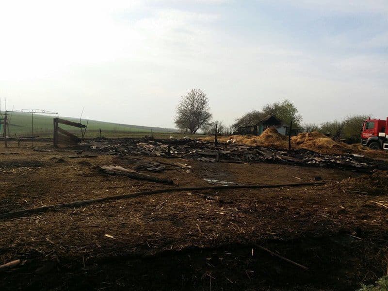 incendiu Dimacheni_09