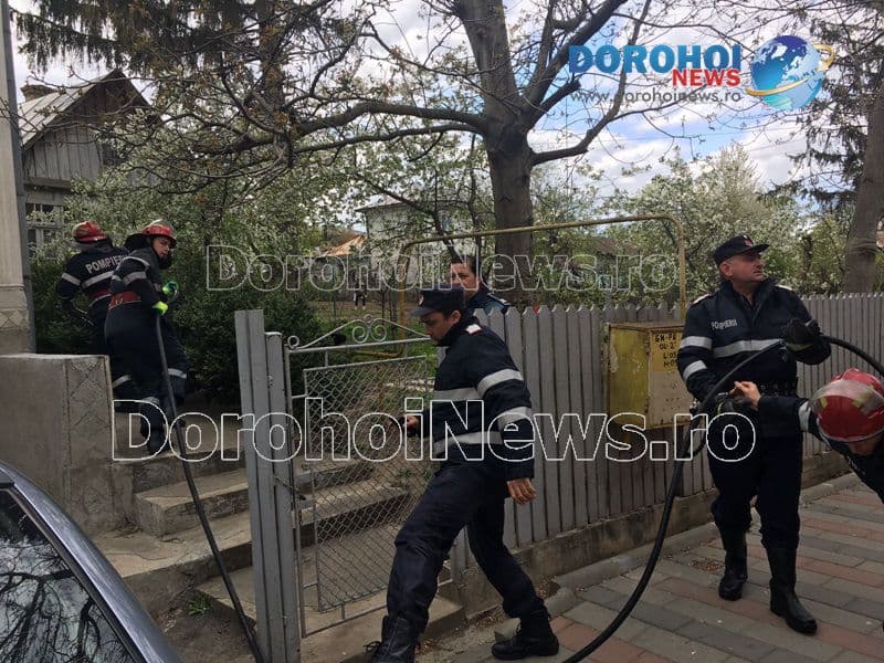 Femeie incendiata_07