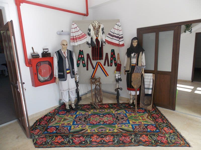 Inaugurare Camin Cultural Dumbravita 01