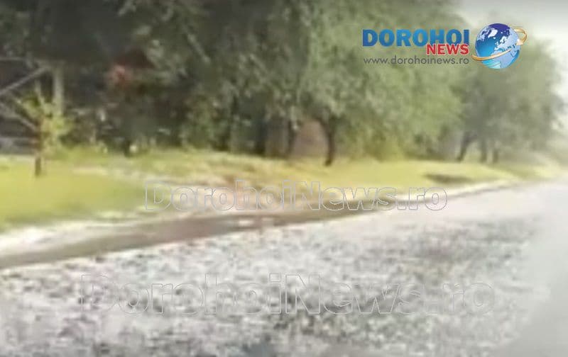Furtuna in judetul Botosani_02