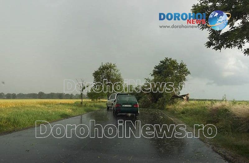 Furtuna in judetul Botosani_05