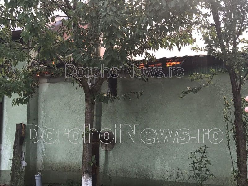 Incendiu la Pomirla_07