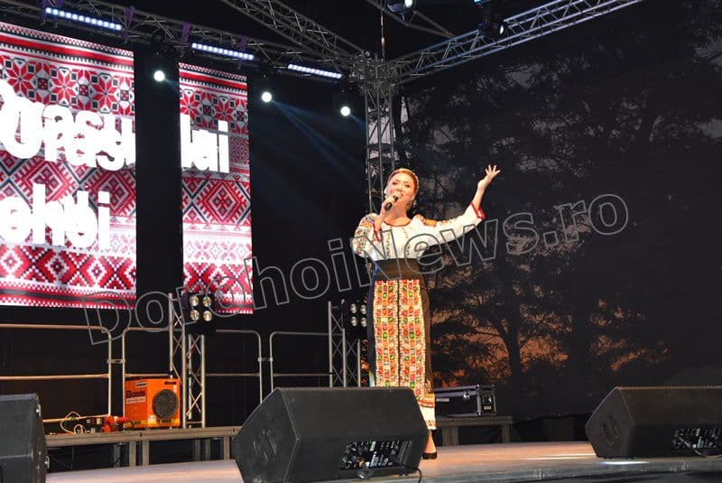 zilele dorohoiului 2017 08