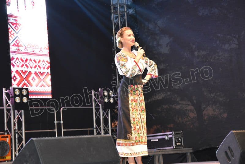 zilele dorohoiului 2017 14