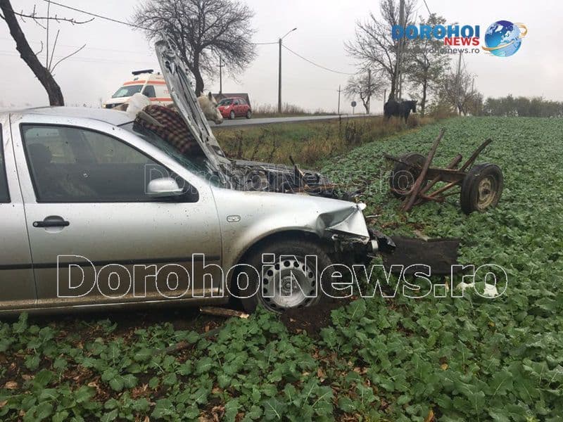 Accident la Saucenita_12