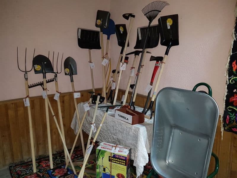Balul Gospodarilor Ibanesti (8)