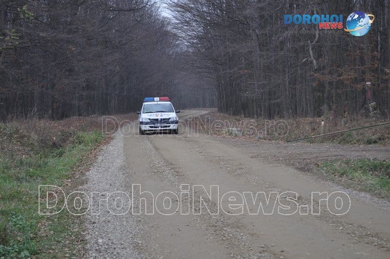 Exercitiu in padurea Gorovei_06