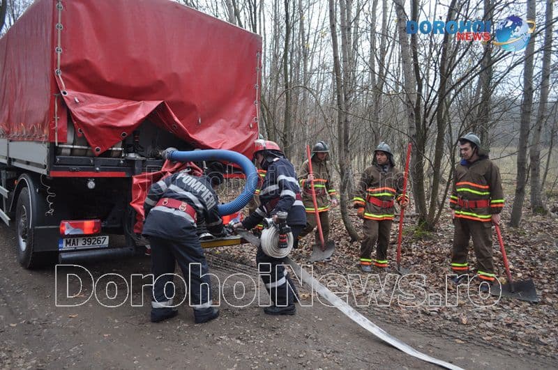 Exercitiu in padurea Gorovei_11