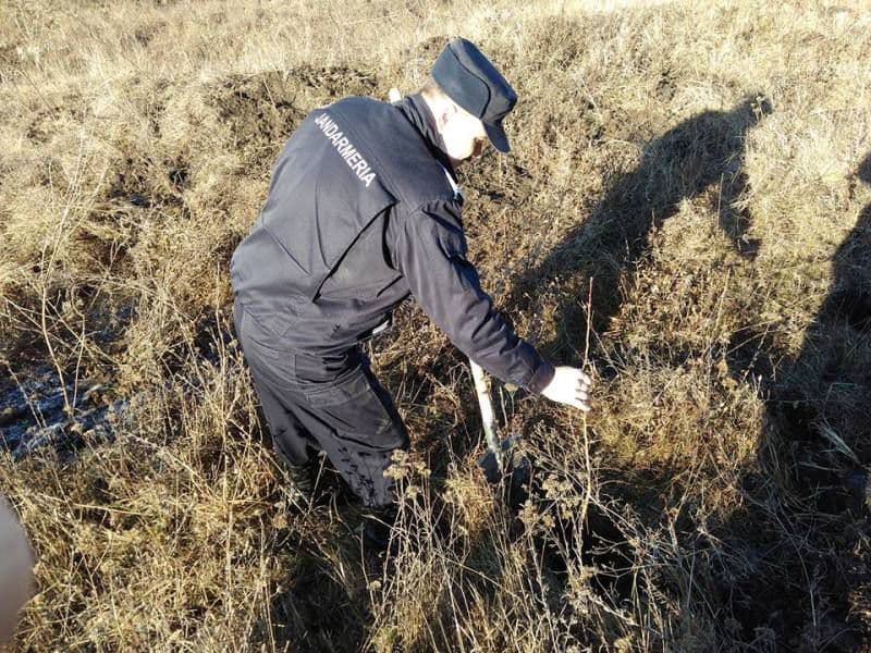 Buhaceni 08.12.2017 - 2