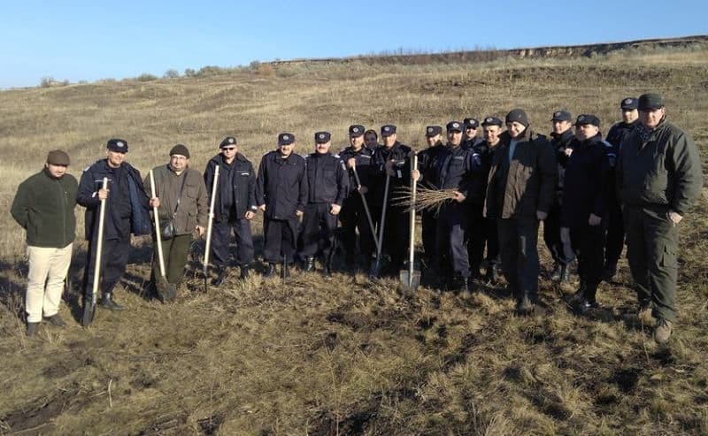 Buhaceni 08.12.2017 - 3