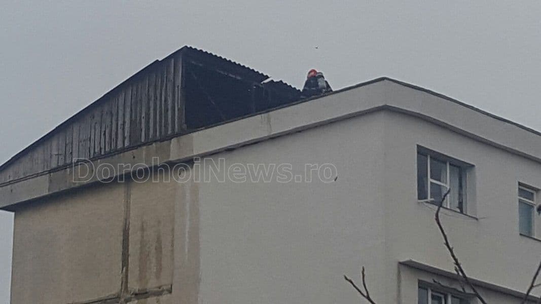 incendiu Botosani 004