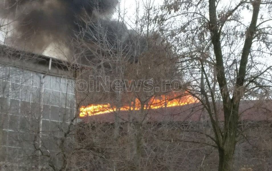 incendiu fabrica 010