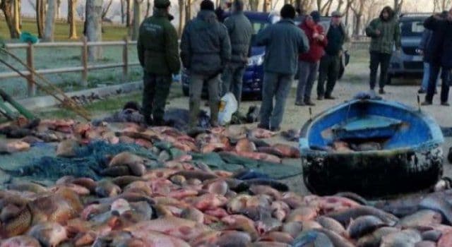 Braconaj dus la extrem. Cum au golit de peşte un lac din Italia trei români