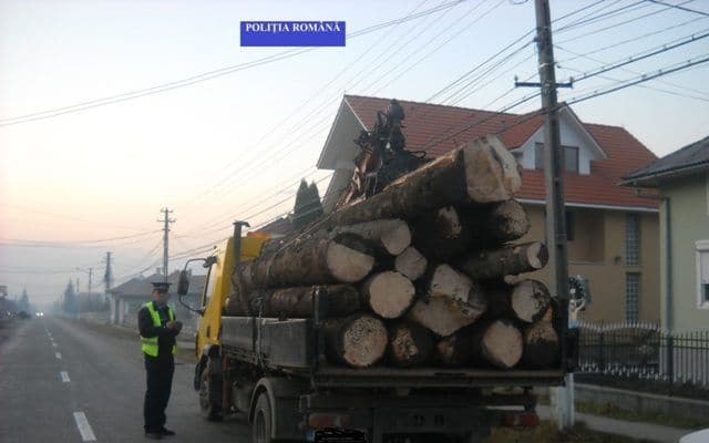 S-a ales cu o amendă usturătoare și materialul lemnos confiscat