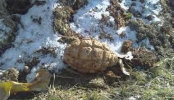 Muniţie găsită în gospodăria unui localnic din județul Botoșani