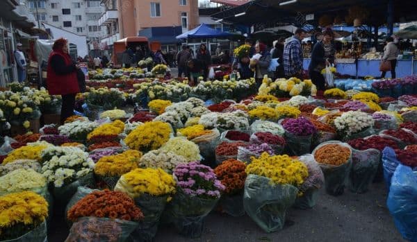 Comercializarea ilicită a florilor în atenția polițiștilor