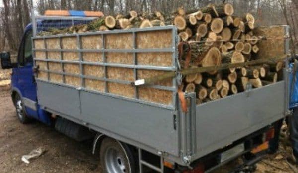 Material lemnos confiscat la Mihăileni! Un bărbat a primit o amendă uriașă