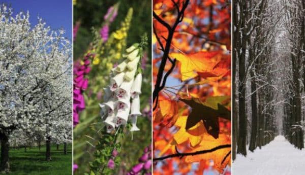 Meteorologii confirmă: Se schimbă anotimpurile! Motivul care a dus la venirea iernii în mijlocul primăverii