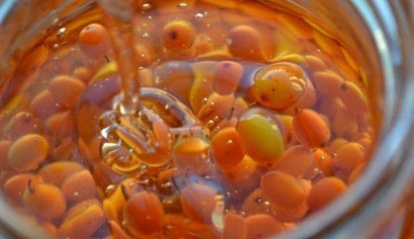 Amestecul de miere cu cătină românească, un preparat fabulos pentru organism