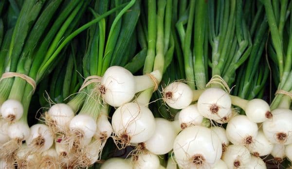 Cum păstrezi ceapa verde proaspătă mai mult timp