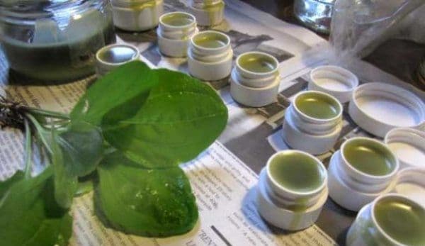 Medicamentul sută la sută natural care nu trebuie să îți lipsească din casă niciodată