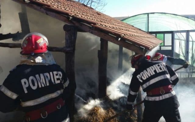 Peste zece tone de plante furajere și o seră afectate de un incendiu izbucnit într-o gospodărie din Dumbrăvița