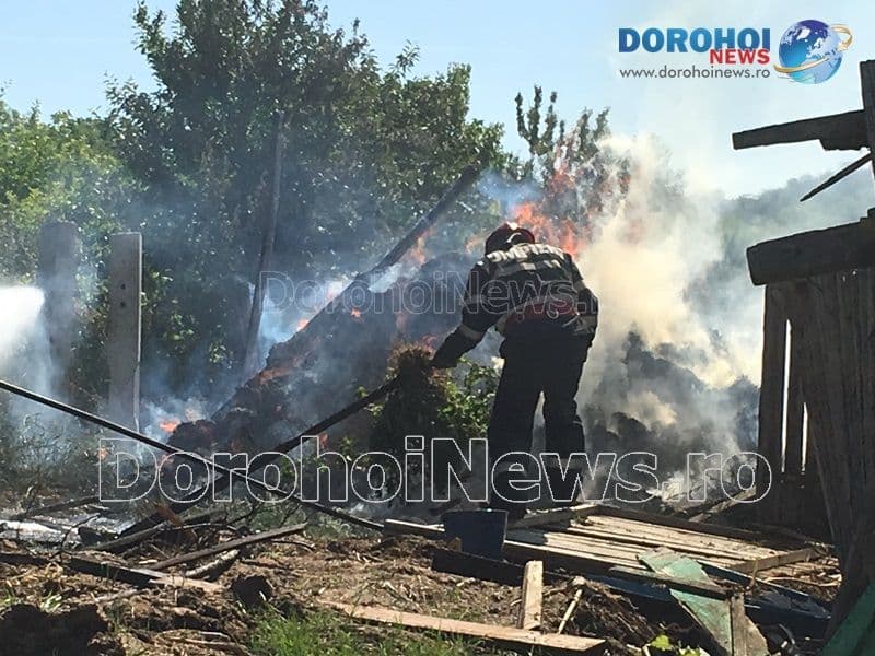 Incendiu izbucnit într-o gospodărie din Broscăuți! Un solar și zece tone de plante furajere afectate de foc - FOTO