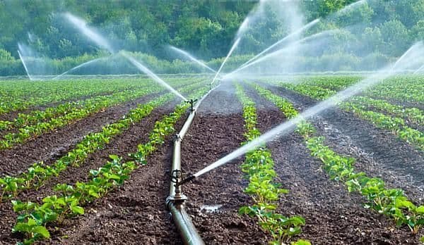 Nova Apaserv face apel la toţi utilizatorii: Nu folosiți apa menajeră pentru a uda culturile agricole sau gazonul