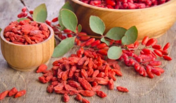 Adevărul despre fructele de goji. Ce sunt, de fapt!