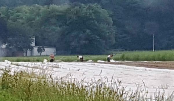 Român mort în Germania, după ce mai bine de o oră a cerut şefilor nemţi să cheme ambulanţa