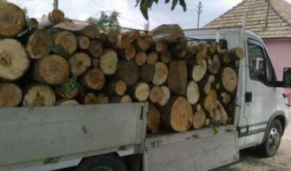 Material lemnos confiscat de poliţişti
