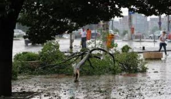 ALERTĂ METEO. Cod GALBEN de ploi torențiale, vijelii, descărcări electrice și grindină!