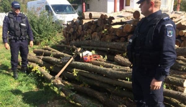 Amendă de 5.000 de lei pentru administratorul unei societăţii. Vezi ce nereguli au găsit polițiștii