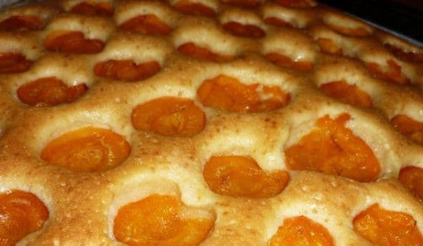 Caise gratinate