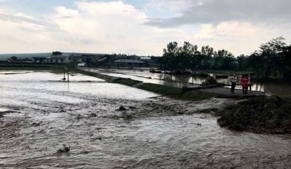Pompierii intervin în sprijinul cetățenilor din judeţul Botoşani: au fost înregistrate peste 130 de apeluri în ultimele 24 de ore