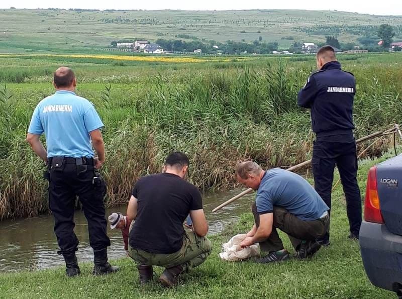 Au ieşit cu undiţa pe baltă şi au pescuit... amenzi