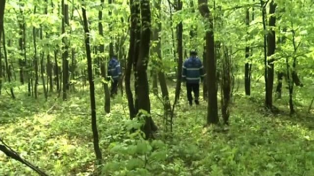 Bărbatul rătăcit în pădure la Pomârla a fost găsit la șapte ore de la dispariție