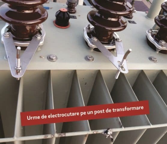 Victime din ignorarea pericolelor electrice