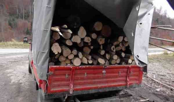 Transporta ilegal lemn! A rămas şi fără „marfă” s-a ales și cu o amendă „generoasă”